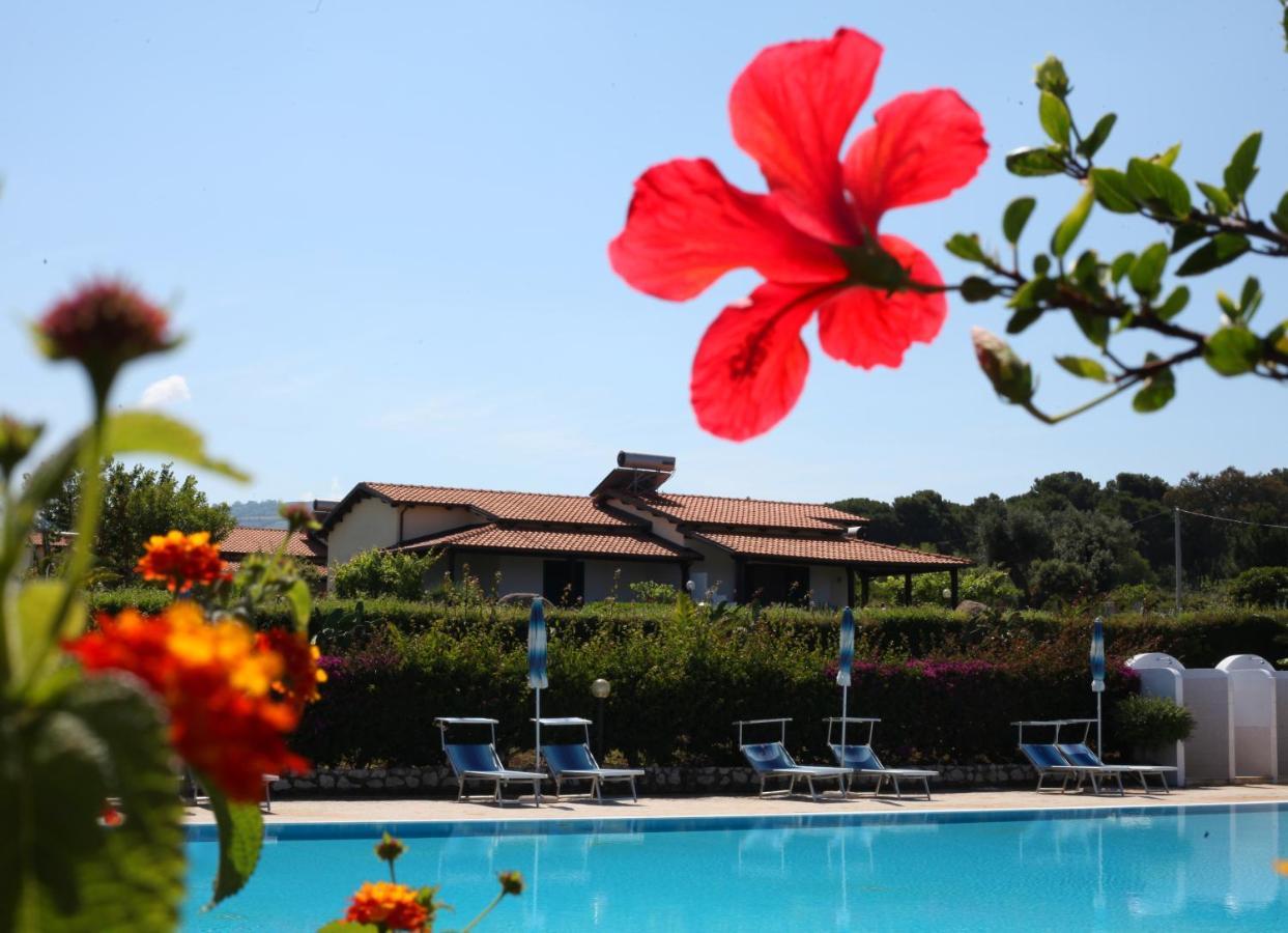 Agriturismo Ninea Рикади Экстерьер фото