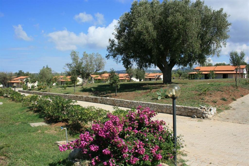 Agriturismo Ninea Рикади Экстерьер фото