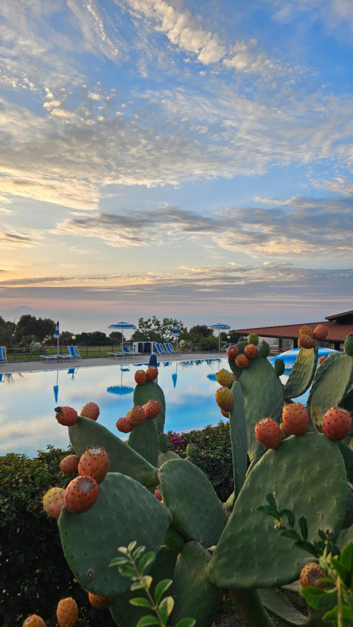 Agriturismo Ninea Рикади Экстерьер фото